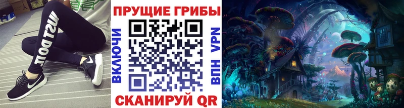 ОМГ ОМГ ONION  Феодосия  Псилоцибиновые грибы Psilocybine cubensis 