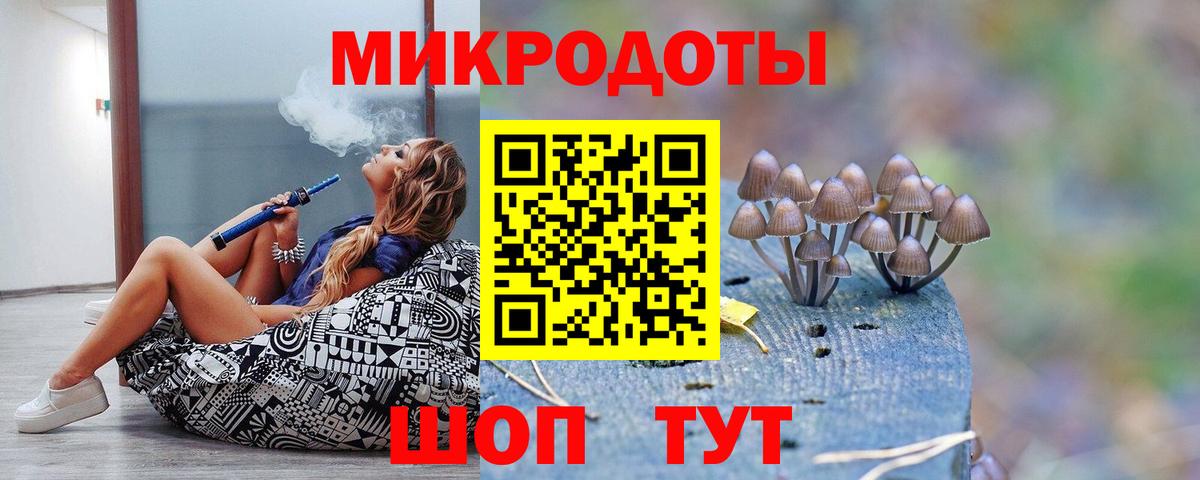 Галлюциногенные грибы MAGIC MUSHROOMS  Вход с VPN  Феодосия 