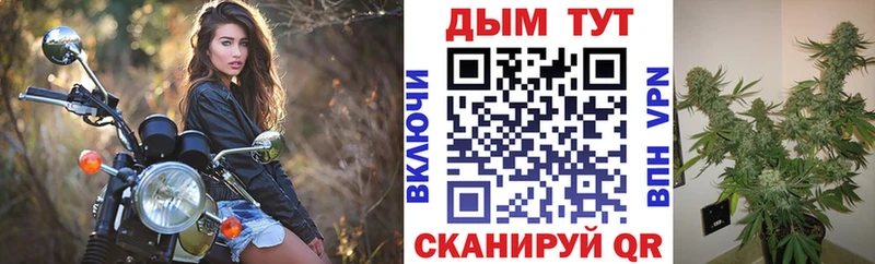 Конопля Bruce Banner Феодосия